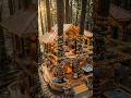 Tree house design in jungle #design #shorts