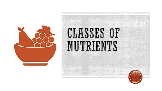Classes of Nutrients