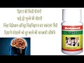 baidyanath brain tab ke chmtkari fayde side effects uses price dosages and review in hindi