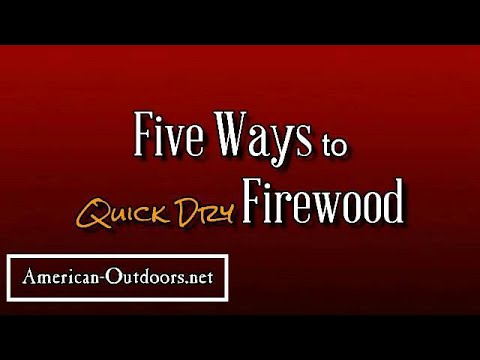 5 Quick Ways to Dry Out Firewood