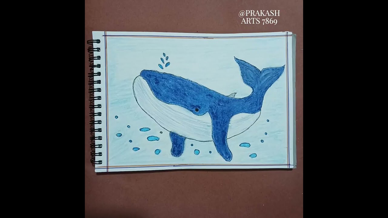 How to draw an whale #shark #fish @prakasharts7869 