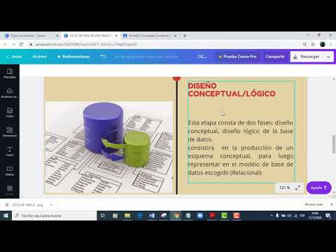 Las etapas del ciclo de vida de una base de datos: todo lo que necesitas saber
