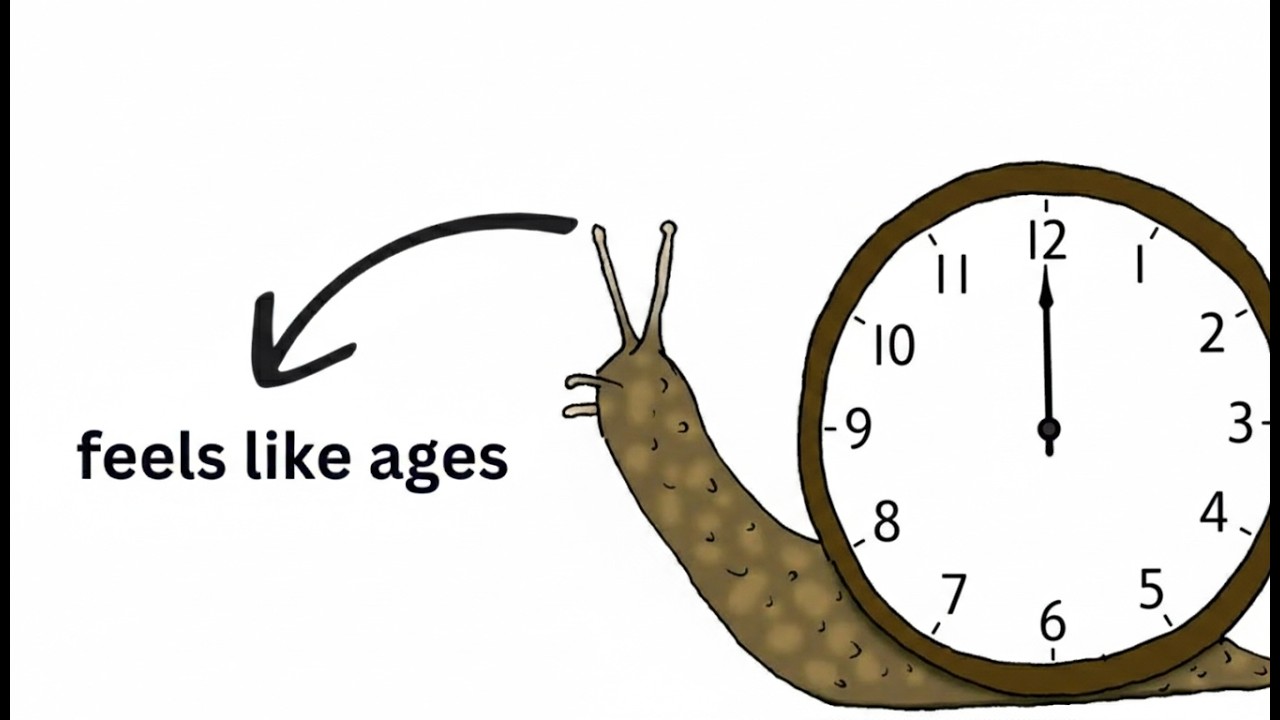 Why 3 Seconds of Fear Feels Like an Eternity