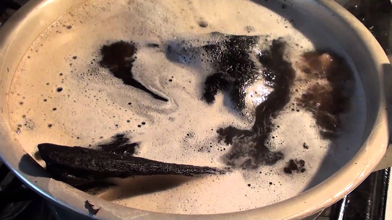 流木 アク抜き中 Youtube