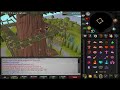 Beginning of video