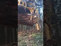Ponsse Ergo 2025 #forest #ponsse #les #ergo #cutting #harvestor #harvester #wald #work #arbeit