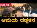 ಆಮೆಯ ದಡ್ಡತನ | ಕನ್ನಡ ನೀತಿ ಕಥೆ | Best Kannada moral stories