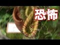 Garden Of Hakone Botanical Wetlands