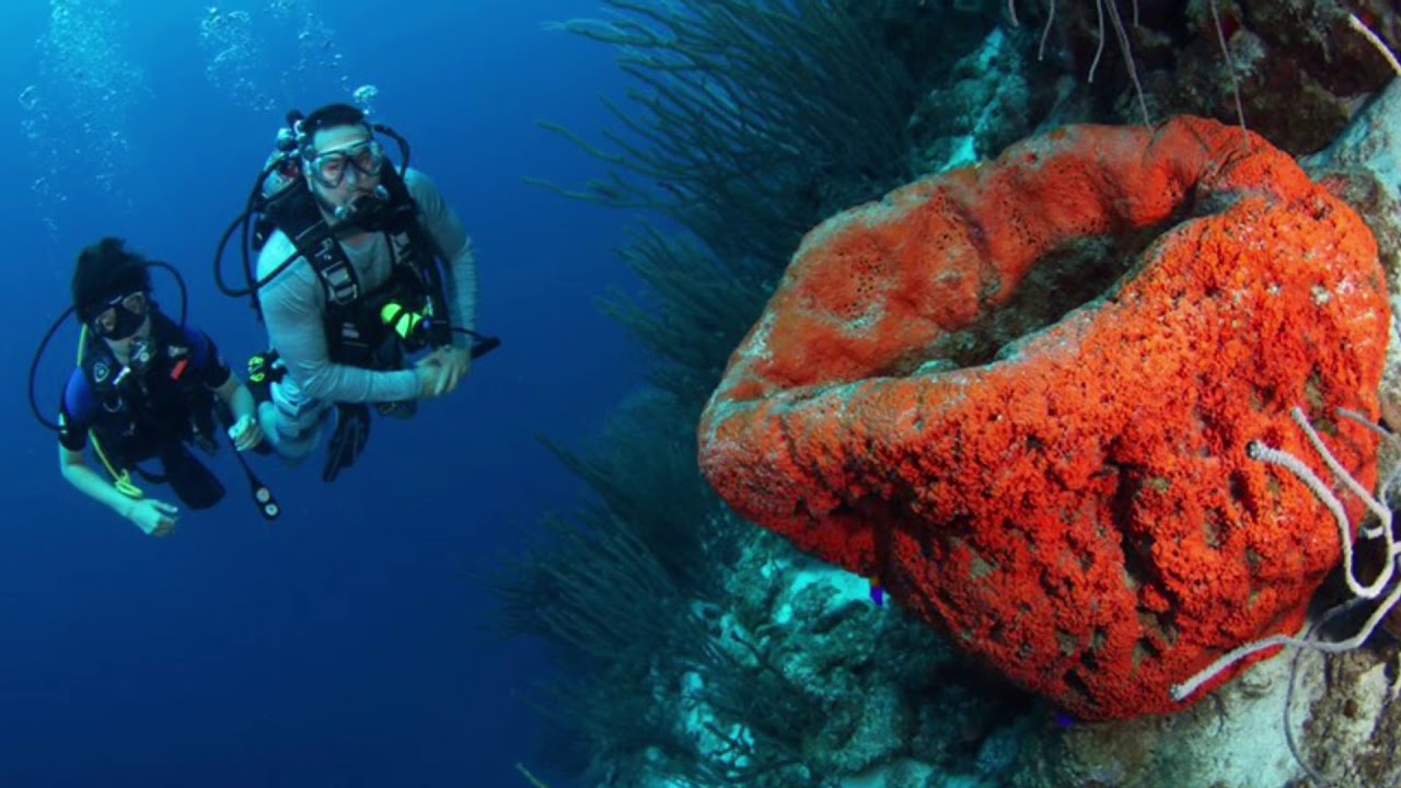 Curacao trip planned by Bucket List Concierge