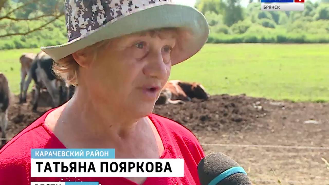 Грант молодым фермерам