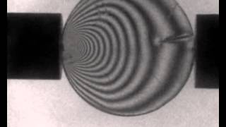 The study of shock wave compression on polymers