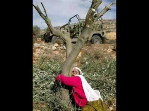   جواز سفر فلسطيني