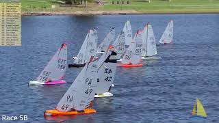Race 5B - DF95 Queensland State Champs - March 22/2025