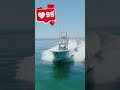 💥Boat Engine Maintenance #davie #florida