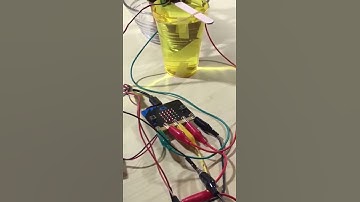 STEMex Microbit Digital Making & Coding Course