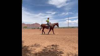 Jesse Jean AQHA 16 year old kids mare for sale
