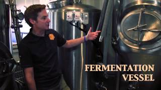 Fate Brewing Company: The Process of Brewing Beer