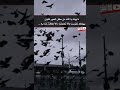 خواطر كلام جميل جدا وقصير عبارات رائعه جدا 