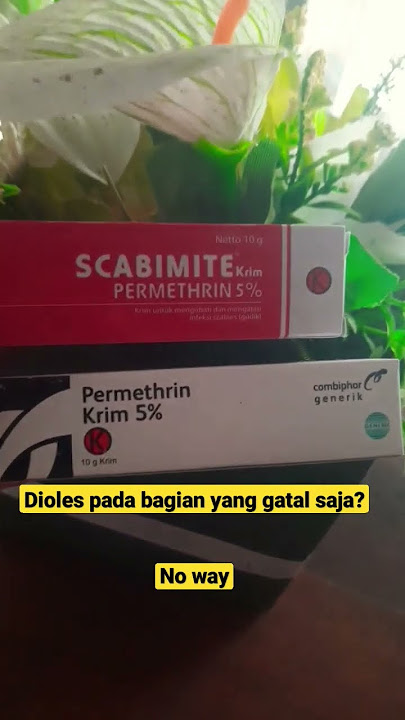 cara tepat penggunaan krim permethrin‼ #scabies #youtubeshorts