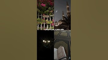 سورة نوح ، القارئ شريف مصطفى (فقلت استغفروا ربكم ) 🍒 #shortvideo #قرآن #اسلام #اكسبلور