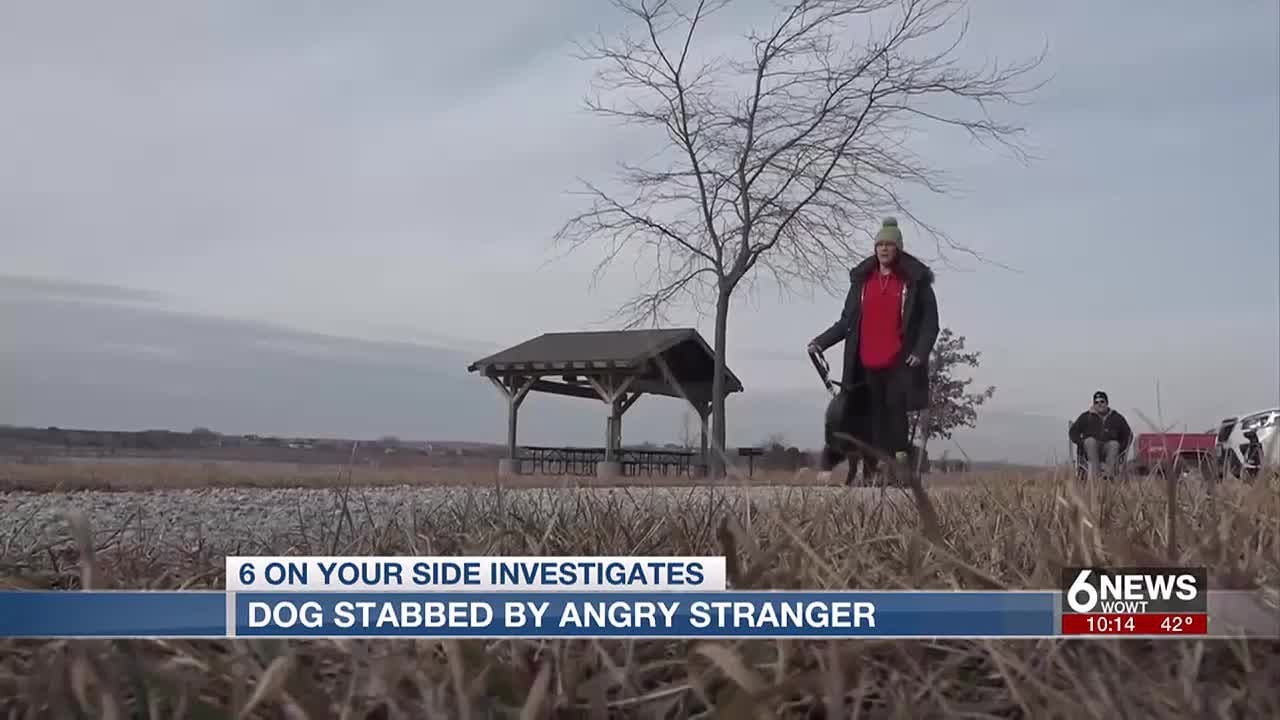 Dog stabbed on walking trail in Wahoo, owner thankful it survived - YouTube