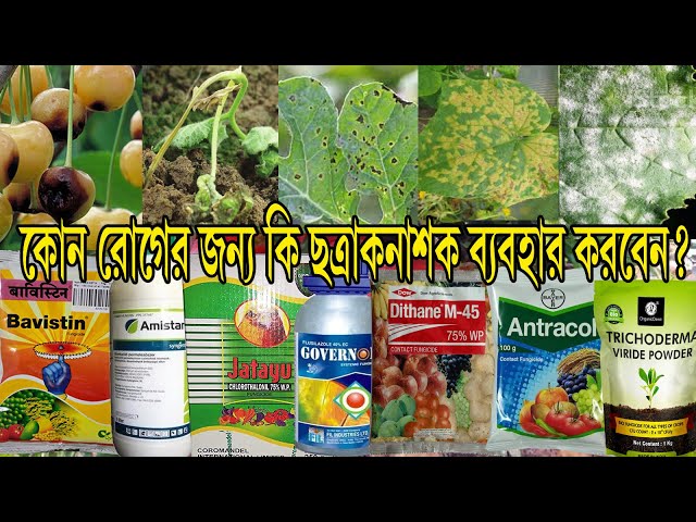 Hijob uchun arab porno Seks porno eski rasmlar