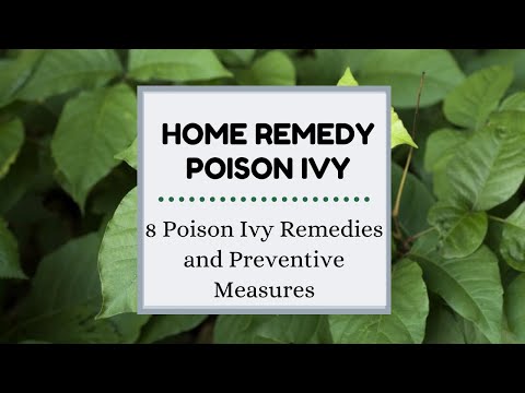 Home remedy poison ivy | 8 Poison Ivy Remedies and Preventive Measures