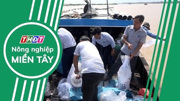 Toàn cảnh Nông nghiệp - 26/7/2024 | Nông nghiệp Miền Tây