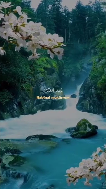 Sholawat 'Al qolbul mutayyam' Penyejuk hati