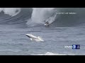 WATCH: Shark swims at Magic island with surfers