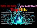 Third eye blind best songs collection  gin blossoms best songs collection