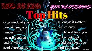 THIRD EYE BLIND BEST SONGS COLLECTION| GIN BLOSSOMS BEST SONGS COLLECTION