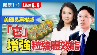 90%慢性疾病都因粒線體? 強化粒線體首推Zone2運動，提升細胞發電廠功能（2024.06.04）| 健康1+1 · 直播