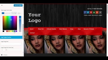 How To Edit Header Logo Settings From Theme Customizer