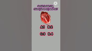 part 125GKQUESTIONS#mindbendingquiz#enigmind#commonsenseriddles#trivia#entertainment facts#viralquiz