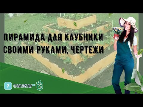 Пирамида для клубники своими руками