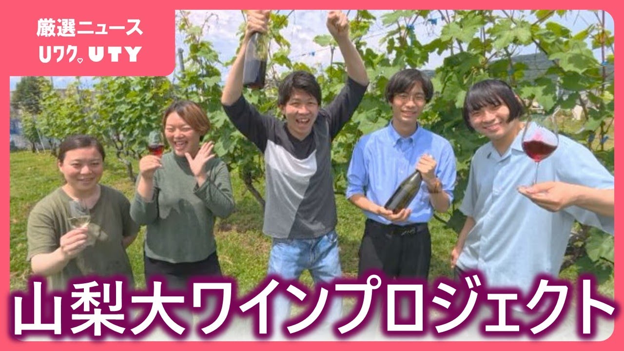 ブドウ栽培からワイン醸造、販売まで 学生が一から手作り 約700本を