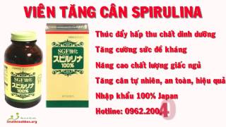 Viên Uống Tăng Cân SPIRULINA - Viên Uống Tăng Cân