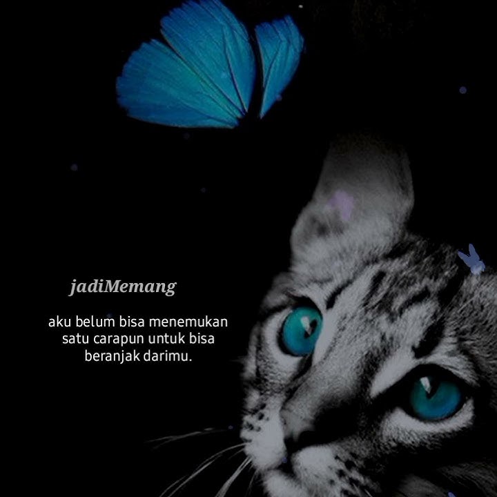 story wa 30 detik Cinta dalam Doa | story wa Bucin terbaru🤭🥳