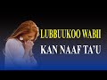 Faarfannaa Afaan Oromoo Walitti Fufaa Lubbuukoo Wabii Kan Naaf Ta U 