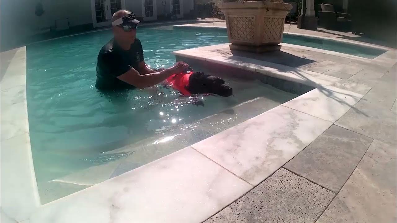 May 12 Tiffy pool work 5 getting out of pool YouTube