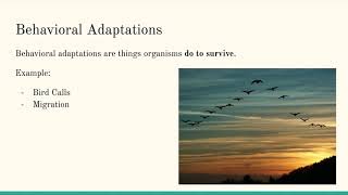 10/13 - Behavioral and Structural Adaptations