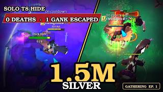 1.5M SILVER an HOUR - T8 HIDE Solo Gathering | Albion Online | Gathering Ep. 1