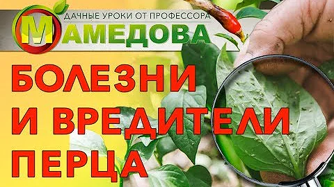 🔥 Болезни и Вредители ПЕРЦА СЛАДКОГО и ОСТРОГО