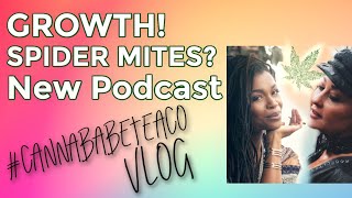 CANNABABE Vlog #002: Cannabis Growth Progress SPIDER MITES and New Podcast