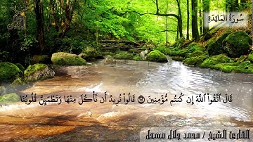 الربع الاخير من سورة المائدة للقارئ الشيخ محمد جلال مسحل