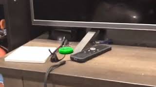 Nickelodeon Do Not Press Onar App