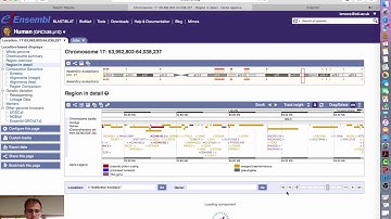 Viewing TrackHubs in Ensembl