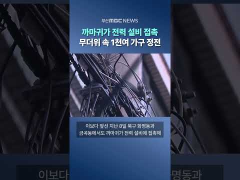 까마귀가 전력 설비 접촉..무더위 속 1천여 가구 <strong>정전</strong>