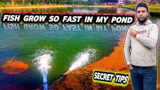 why do fish growth so fast in my pond secret tips | pond preparation for fish farming #fishinfo screenshot 2